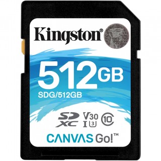 Kingston Canvas Go! SD