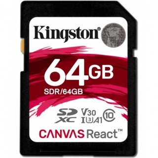 Kingston Canvas React SD