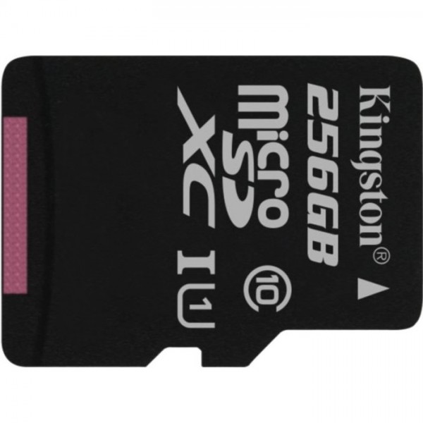 Kingston Canvas Select microSD (256 GB)