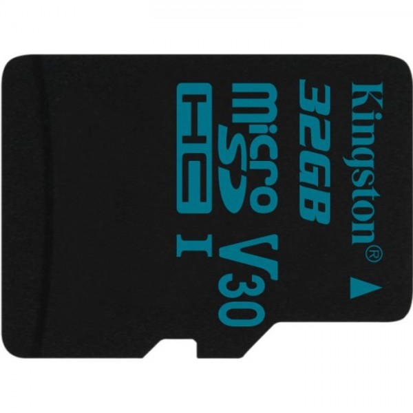 Kingston Canvas Go! microSD (32 GB)