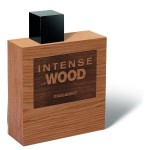 Dsquared2 Intense He Wood EDT 100 ml Erkek Parfümü resim