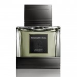 Ermenegildo Zegna Javanese Patchouli EDT 75 ml Erkek Parfümü resim
