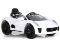 RollPlay W466QHM Jaguar resim