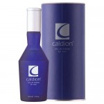 Caldion EDT 100 ml Erkek Parfümü resim