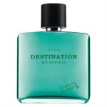 Avon Horizon Wilderness EDT 75 ml Erkek Parfümü resim