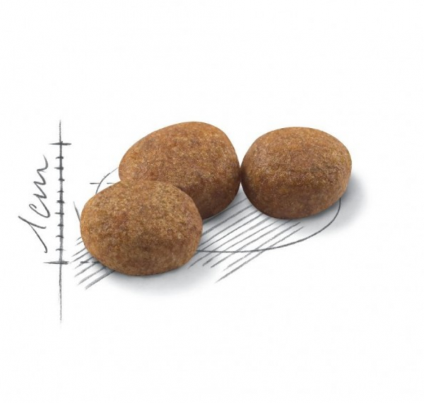 Royal Canin Sterilised 37 400 gr Kedi Maması (400 gr)
