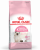 Royal Canin Kitten 36 10 kg Kedi Maması