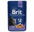 Brit Premium Pouch Morina Balıklı 100 gr resim