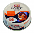 Animonda Carny Ocean Ton Balıklı ve Karidesli 80 gr resim