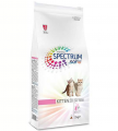 Spectrum Kitten38 2 kg resim