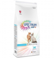 Spectrum Adult Slim34 2 kg resim