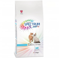 Spectrum Adult Slim34 12 kg resim