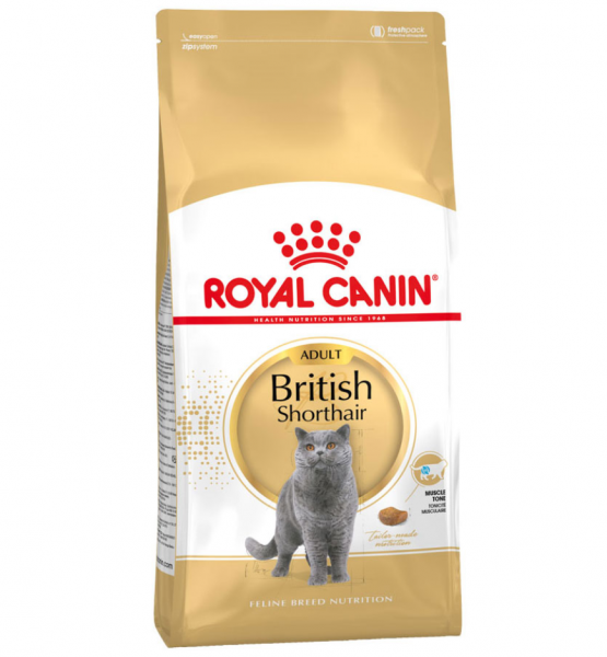 Royal Canin British Shorthair Adult 10 kg Kedi Maması