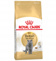 Royal Canin British Shorthair Adult 2 kg resim