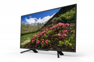 Sony KDL-43RF450 Full HD (FHD) TV