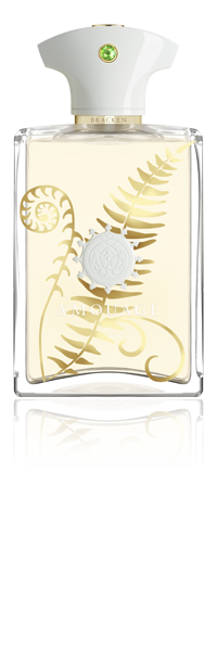 Amouage Bracken EDP 100 ml Erkek Parfümü