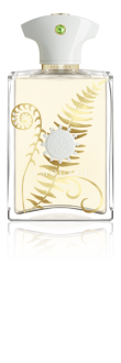 Amouage Bracken EDP 100 ml Erkek Parfümü