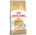 Royal Canin Sphynx 2 kg resim