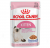 Royal Canin Kitten Instictive Jelly Pouch 85 gr Kedi Maması