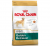 Royal Canin Golden Retriever Adult 12 kg Köpek Maması