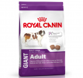 Royal Canin Giant Adult 15 kg resim