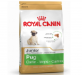 Royal Canin Pug Junior 1.5 kg resim