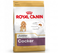 Royal Canin Cocker Junior 3 kg resim
