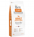 Brit Care Adult Medium Breed Lamb & Rice 12 kg resim