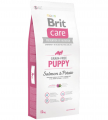 Brit Care Tahılsız Yavru Somon ve Patatesli 12 kg resim