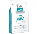 Brit Care Grain-free Adult Salmon & Potato 3 kg resim