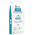 Brit Care Grain-free Adult Salmon & Potato 12 kg resim