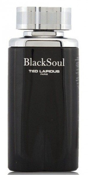 Ted Lapidus Black Soul EDT 100 ml Erkek Parfümü