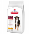 Hill's Science Plan Adult Advanced Fitness Large Tavuklu 12 kg resim