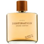 Avon Destination Grand Canyon EDT 75 ml Erkek Parfümü resim