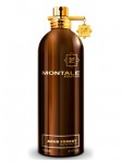 Montale Aoud Forest EDP 100 ml Unisex Parfümü resim