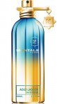 Montale Aoud Lagoon EDP 100 ml Unisex Parfümü resim