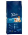 Felicia Adult Somonlu 15 kg resim