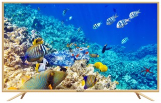 Sunny SN032LED013-G HD Ready (HD) TV