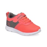 Kinetix Anka resim