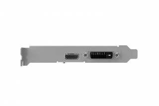 Palit GeForce GT 1030 Ekran Kartı