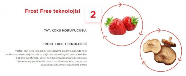 Vestel NFK600 EX A++ Buzdolabı