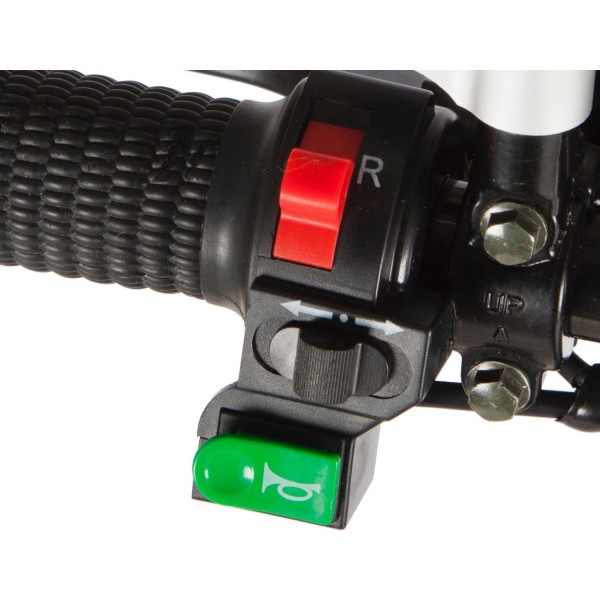Electro Wind EW12 Performance Moped
