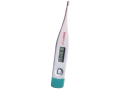 Brion Vega BV1000 Dijital resim