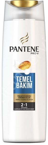 Pantene Temel Bakım 500 ml 2'si 1 Arada (500 ml)