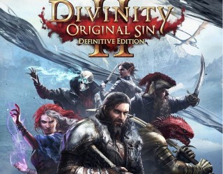 Divinity Original Sin 2 Definitive Edition PC