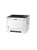 Kyocera Ecosys P2040dn Yazıcı