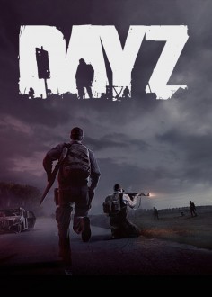DayZ PC