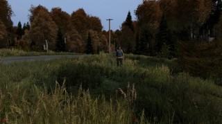 DayZ PC