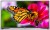 Sunny SN43DLK071 Full HD (FHD) TV