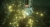 Dead by Daylight PC